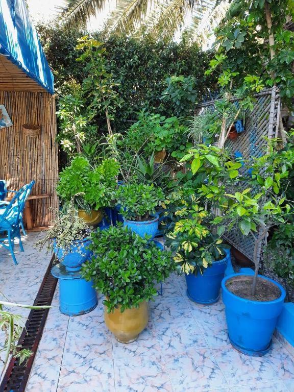 Maison D Hotes Marine Ksar Sghir Экстерьер фото