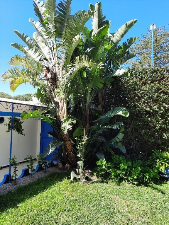 Maison D Hotes Marine Ksar Sghir Экстерьер фото
